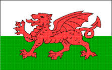 Grandparents Apart Wales Flag